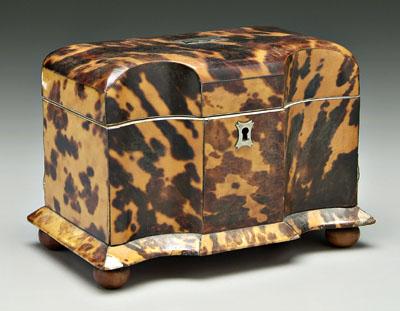 Tortoise tea caddy fluted front 90fe0