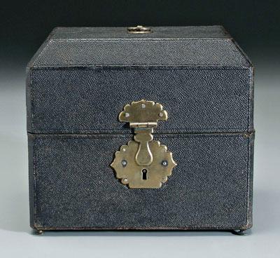 Shagreen traveling apothecary  91244