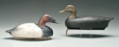 Two Wildfowler decoys: canvasback
