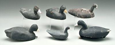 Six coot duck decoys cork and 91370