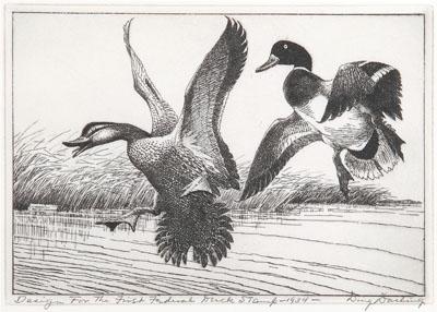 1934 Norwood Federal duck stamp print,