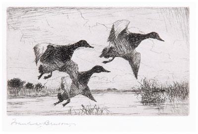 1935 Benson Federal duck stamp print,