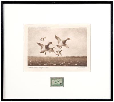 1937 Knap Federal duck stamp print  9139b