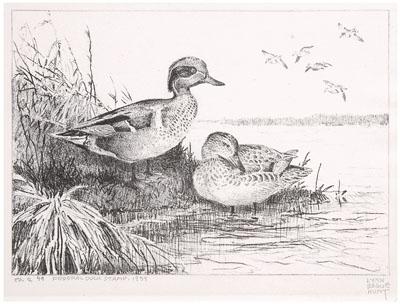 1939 Hunt Federal duck stamp print  9139d