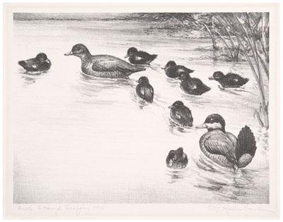 1941 Kalmbach duck stamp print,