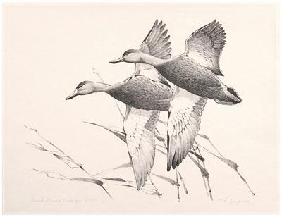 1940 Jaques Federal duck stamp print,