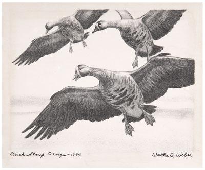 1944 Weber Federal duck stamp print,