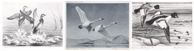 Three Federal duck stamp prints,