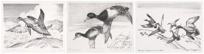 Federal duck stamp prints 1952 54  913a7