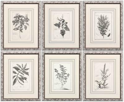 Six botanical prints Pierre Bouchoz  91616