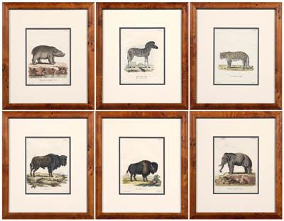 Six animal prints, Schreiber (Germany,