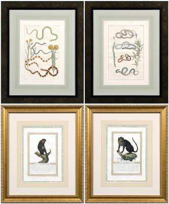 Four engravings: two hand colored