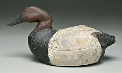 Early canvasback decoy well shaped 919a1