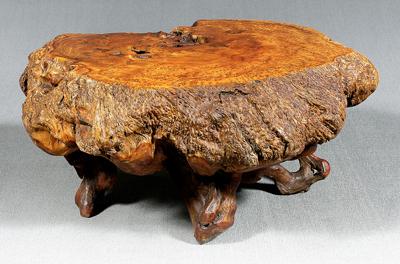 Large burlwood table, slab cut