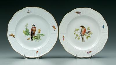 Two Meissen plates: centers with