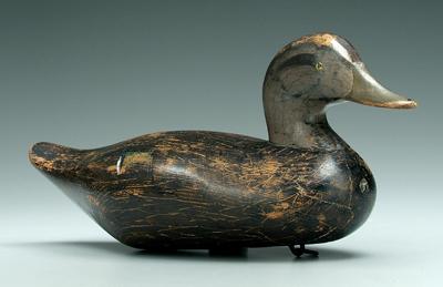 Madison Mitchell black duck decoy  91fea