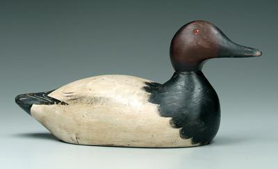 Masons premier canvasback decoy,