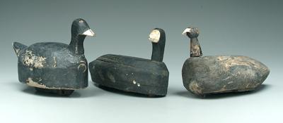 Three coot decoys one with rounded 92008