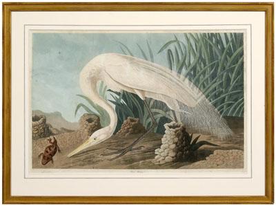 Havell Edition Audubon print, &quot;White