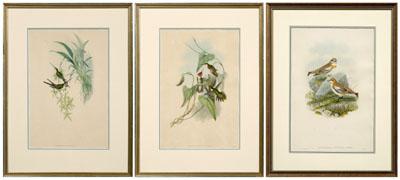 Three Gould &amp; Richter prints: