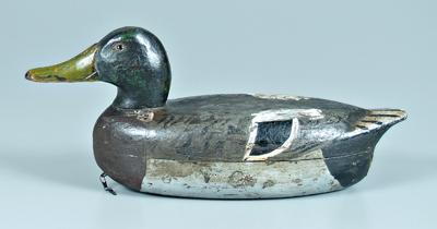 Blue wing teal duck decoy, glass eyes,