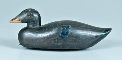 Black duck decoy, head with incised