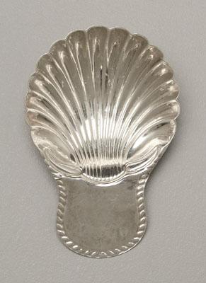 English silver caddy spoon shell 92f6d