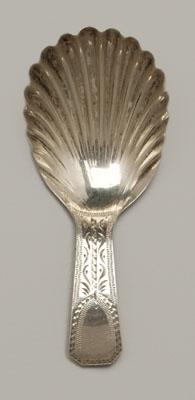 English silver caddy spoon, shell bowl,