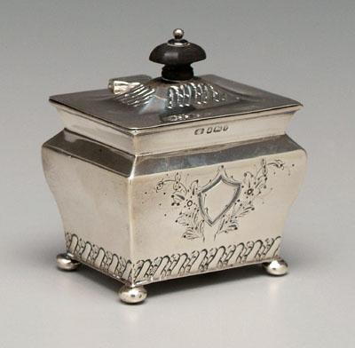 English silver tea box, rectangular