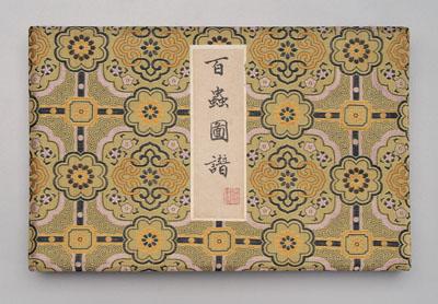 Chinese book of insects, drawings: