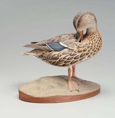 Finely carved and painted duck, in grooming