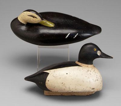 Two Elmore duck decoys: black duck,