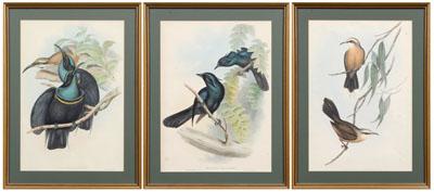 Three Gould and Richter lithographs: