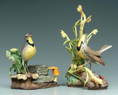 Two Boehm bird figurines: meadowlarks,