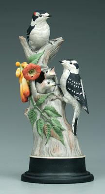 Boehm bird group: downy woodpeckers,