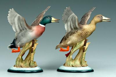 Pair Boehm bird figurines: mallard