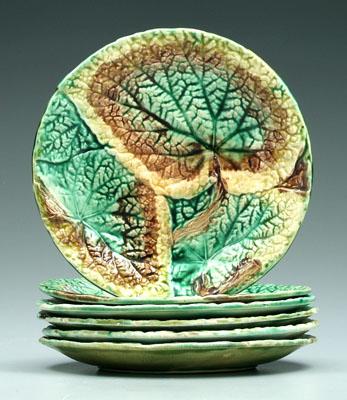 Six majolica plates: varying leaf