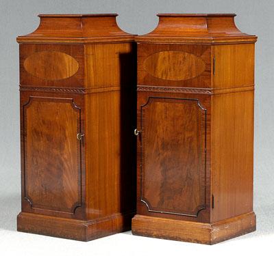 Pair Georgian style pedestal cbinets,