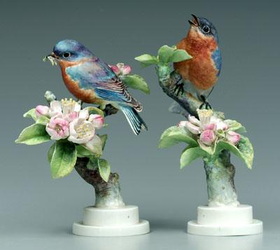 Two Doughty bird figurines: bluebirds
