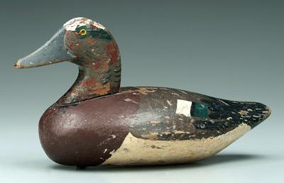 Chesapeake Bay canvasback decoy,