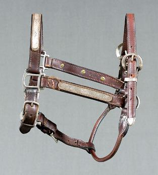 Mexican horse halter, leather halter
