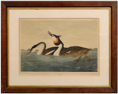 Bien edition Audubon print Plate 94353