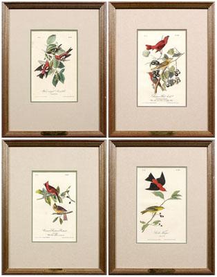 Four Audubon Royal Octavo prints: Plate