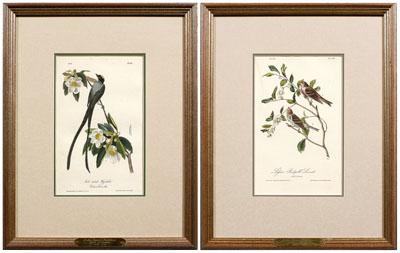 Two Audubon Royal Octavo prints  948a6