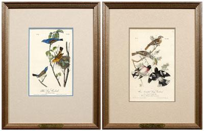 Two Audubon Royal Octavo prints: Plate