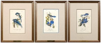 Three Audubon Royal Octavo prints  948af