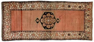 Baktiari rug, central medallion