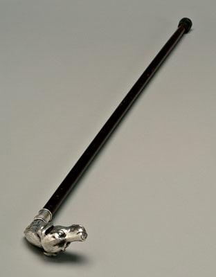 Cane with silver dog&#39;s head,