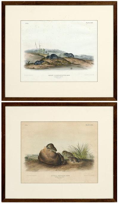 Two Bowen edition Audubon prints  95092