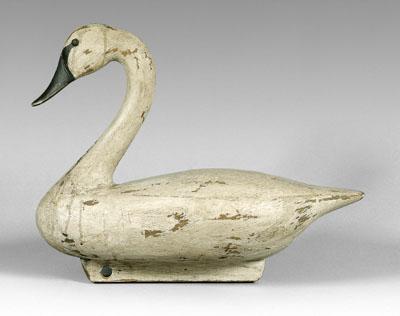 Swan confidence decoy, carved and